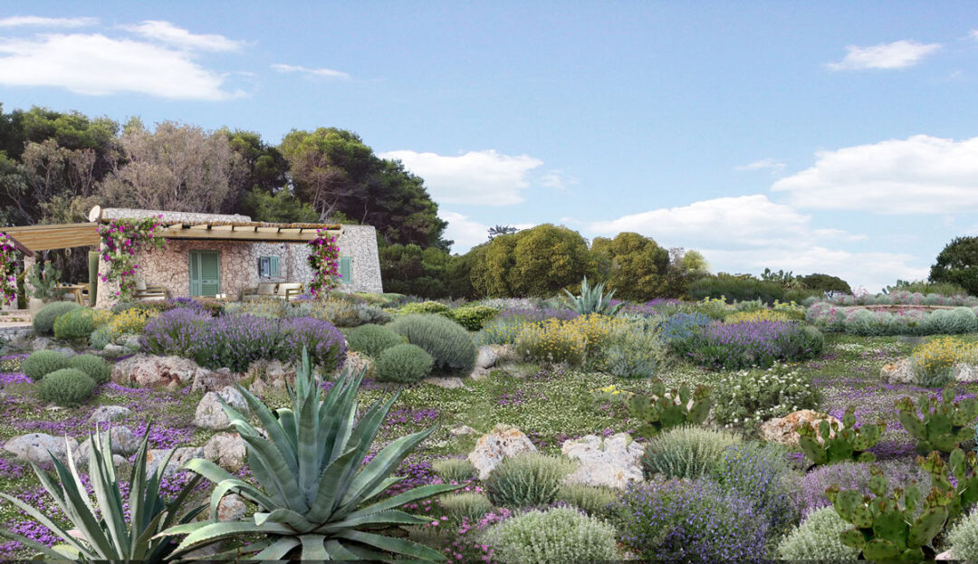 Il giardino secco nel Salento